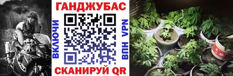 Псилоцибиновые грибы Пролетарск