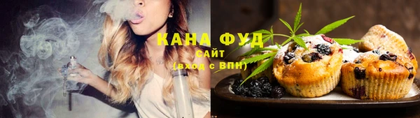 индика Коряжма