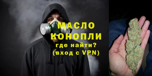 индика Коряжма