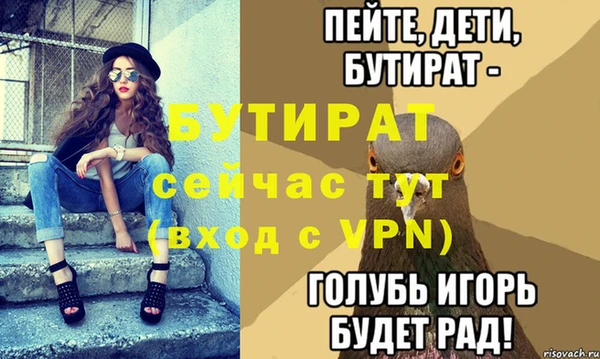 индика Коряжма