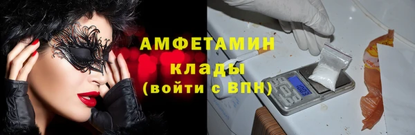 индика Коряжма