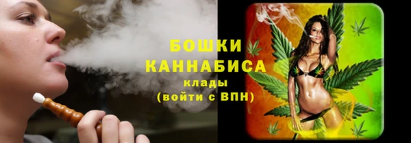 индика Коряжма