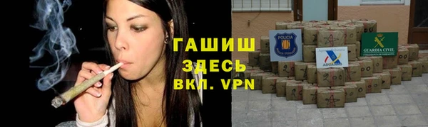 индика Коряжма
