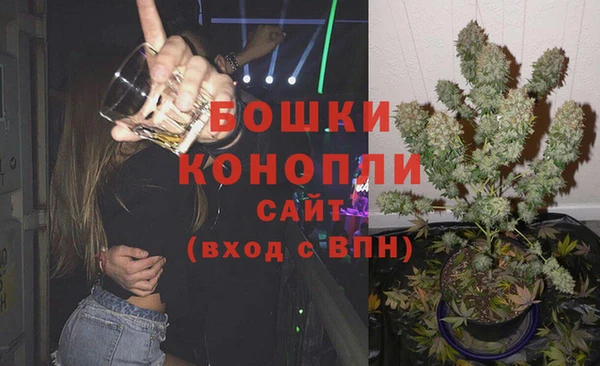 индика Коряжма
