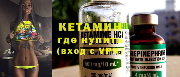 индика Коряжма